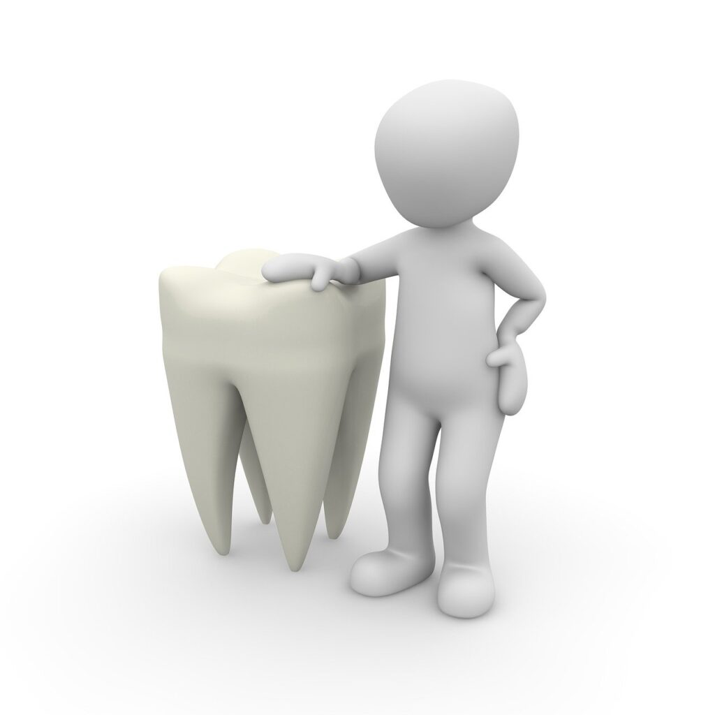 tooth, dentist, close up-1015425.jpg